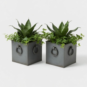 Jardinera Doble Cuadrada de Hierro Galvanizado de 35 cm, Maceta de Metal Rústica para Jardín, Patio, Hotel, Paisajismo Comercial al Aire Libre, Venta al Por Mayor - Product Image 2
