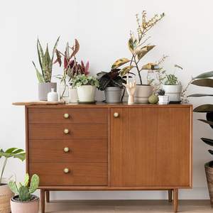 ลูกบิดตู้สีทอง ทองเหลืองขัดเงา โลหะผสมสังกะสี สำหรับลิ้นชักตู้ครัว ตู้เสื้อผ้า ประตูตู้ - Product Image 6