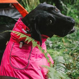 Small Waterproof <b>Dog</b> Coats Warm <b>Pink</b> 2XL Sport Vest with Adjustable Drawstring Cozy Pet Clothes - Product Image 3