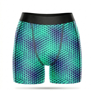 Boxers de compression personnalisés de haute qualité pour hommes, respirants, à séchage rapide, sous-vêtements de sport athlétiques OEM - Product Image 1