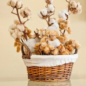 Pijama de bebé de algodón orgánico certificado GOTS, mono hipoalergénico transpirable, mono con botón a presión, hecho por OEM, Animal bonito de Vietnam - Product Image 5