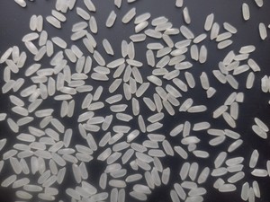 Riz Calrose moyen frais du Vietnam, riz Camolino 100% double trié par Sortex, texture ferme, durée de conservation de 24 mois, sacs PP de 25/50 kg - Usine - Product Image 6