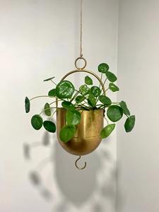 Élégante jardinière murale en fer doré à trois niveaux, porte-plantes d'intérieur, décoration de jardin vertical moderne - Product Image 3