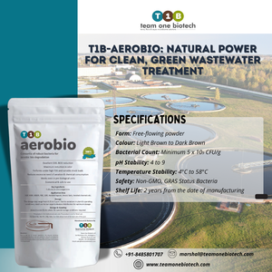 Soluciones de maquinaria de tratamiento de agua de bacterias aeróbicas para la gestión de aguas residuales de la industria de pulpa y papel - Product Image 4