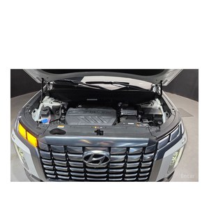 Para Palisade Diésel 2.2 2WD Euro V, Caja de Cambios Automática, Asientos de Cuero, Volante a la Izquierda, 7 Plazas, Luces LED, 22,259 km - Product Image 6