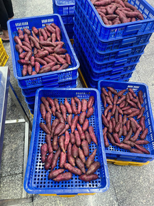มันเทศสีม่วงแช่แข็งธรรมชาติ สีสันสดใส คุณภาพพรีเมียม พร้อมบริการ OEM สำหรับตลาดต่างประเทศ - Product Image 6