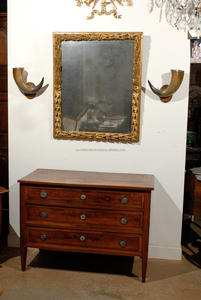 Cuerno Decorativo de Pared, Cuerno de Toro Vintage con Borde Plateado, Par de Cuernos de Búfalo Montados en Placa de Pared Vintage de la India - Product Image 2