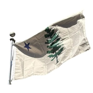 Drapeau rectangulaire vert en polyester pour académie de natation avec motif ailes et étoiles dorées, mât en acrylique durable pour usage extérieur - Product Image 4