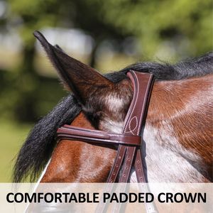 Bridon en cuir de cheval en gros avec sangle de nez, couleur personnalisable, échantillon disponible, logo personnalisable au meilleur prix - Product Image 4