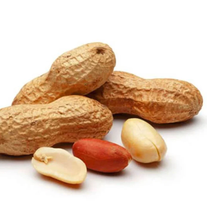 Huile d'arachide |   Fournisseur en gros d'huiles végétales de première qualité, fabricant OEM et marque privée - Product Image 5