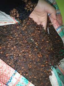 Pure Clove <b>Essential</b> <b>Oil</b> 100% Natural Steam Distilled for All Skin Types Body Massage & Antibacterial Aromatherapy - Product Image 4