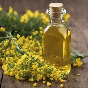 Huile de Colza Comestible 100% Pure de Qualité Supérieure, Huile de Colza Raffinée, Vente en Gros, Exportation, Huiles Végétales Premium pour Usines – Meilleures Ventes - Product Image 6