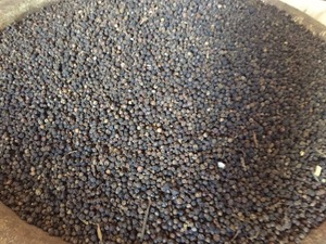 Vente Chaude Poivre Noir du Vietnam 450GL 500GL 550GL 570GL 580GL Épice Séchée et Nettoyée pour l'Exportation en Vrac et la Transformation Alimentaire - Product Image 2