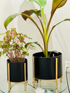Macetero Moderno de Metal Negro con Soporte Dorado, Elegante Porta Macetas para Interiores, para Sala de Estar, Oficina, Dormitorio, Balcón y Ambientes de Lujo - Product Image 4