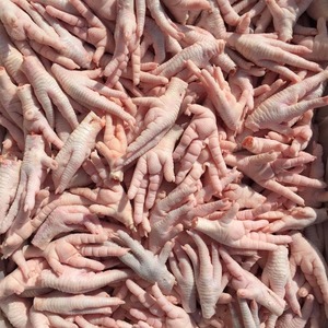 Selección de Aves Halal Lista para Exportación, Patas de Pollo Congeladas IQF, Limpias, Clasificadas, Empacadas Premium, 24 Meses de Vida Útil, Cajas a Granel - Product Image 1