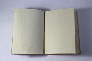 Carnet en cuir bleu roi avec bananier symbolique gravé et fait semblant d'être sculpté, relié en cuir de chèvre souple - Product Image 4