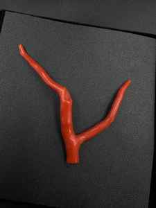 Cuentas de Coral Rojo de Rajastán 100% Naturales, Gema en Bruto para Joyería, Forma de Árbol, 14ct - Product Image 2