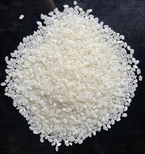Riz japonica vietnamien biologique Koshihikari, riz à grains courts de qualité supérieure |   Riz Japonica Bio Riz Sushi |   Celeste VILACONIC - Product Image 1