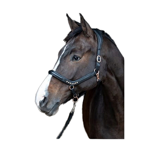 Brida de Cuero Clásica para Caballo con Riendas, Equipo Ecuestre Resistente al Mejor Precio al por Mayor - Product Image 4