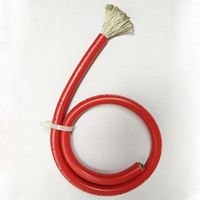 2AWG 4AWG 6AWG Cable de batería Terminal de cobre estañado Juego de cables de batería para coche Solar barco RV