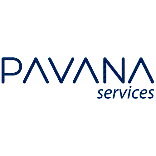 Pavana Services logo