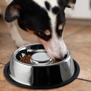 Offre Exceptionnelle : Gamelle Anti-Glissement en Acier Inoxydable Durable et Anti-Fuite pour Chiens et Chats - Product Image 1