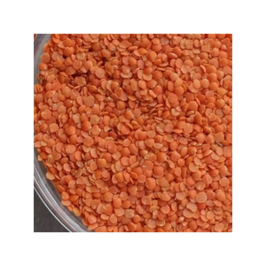 ถั่วเลนทิลแดงคุณภาพสูง สำหรับผู้ซื้อขายส่งที่ต้องการปริมาณคงที่ - Product Image 6