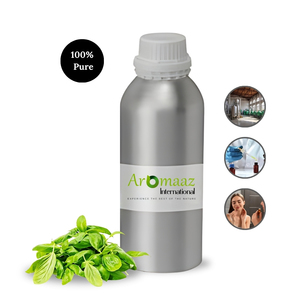 Huile essentielle de basilic 100% pure de qualité supérieure avec des bienfaits blanchissants, distillée à la vapeur pour tous types de peau, usage industriel - Product Image 5
