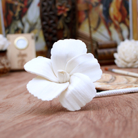 Fleurs d'hibiscus séchées artisanales écologiques en gros, style naturel, plantes décoratives pour la décoration intérieure, toutes occasions