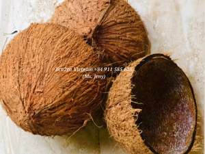 Eco2go Personalize Coconut <b>Bowls</b>, Serving Coconut Shell <b>Bowls</b>, <b>Cereal</b> serving Coconut <b>bowl</b>, <b>Cereal</b> <b>bowl</b> Dinner - Product Image 4