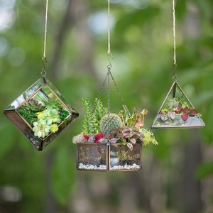 Maceta Geométrica de Cristal Negro Popular para Suculentas y Plantas Aéreas - Decoración Artística Ecológica para el Hogar/Oficina, Regalo de Boda - Product Image 6