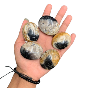 Pierre de palmier naturelle de qualité supérieure – Pierre de guérison polie à motif oculaire unique 45x35x15 mm - Product Image 5