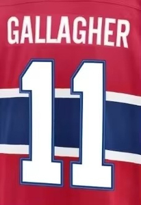 Service OEM à faible MOQ, Maillot de hockey sur glace 100% polyester respirant imprimé, Personnalisation du nom de l'équipe et de la marque, OEM ODM, Nouvelle Arrivée 2026 - Product Image 6