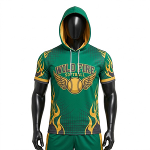 Sweat-shirt à capuche personnalisé pour équipe de softball, avec logo, nom et numéro, durable, pour l'échauffement, l'entraînement, les voyages, vêtements de sport - Product Image 1