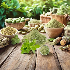 Poudre d'extrait organique de bacopa de qualité alimentaire pure 100% meilleur extrait de plantes de Bacopa Monnieri - Product Image 4