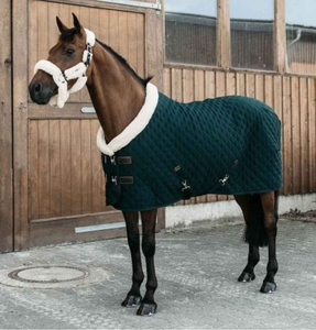 Manta para Caballo de Color Sólido con Solapa Grande para la Cola, Cuello Estándar, para Uso en Exteriores en Invierno - Product Image 5
