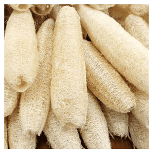 Éponges de loofah séchées naturelles, en fibres de loofah naturelles, pour le nettoyage domestique et accessoires de bain, Vietnam. - Product Image 3