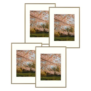 Rectangular Metal Photo <b>Frame</b> With <b>White</b> Mat Horizontal Design For Cherry Blossom Print - Product Image 1