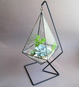 Terrario de Metal y Vidrio Negro Personalizado, Moderno, para Plantas de Interior, Suculentas, Plantas Aéreas y Terrarios DIY - Product Image 3