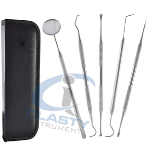 Kit d'outils de nettoyage buccal dentaire portable en acier inoxydable, certifié CE Classe I, détartreur manuel pour le nettoyage des dents destiné aux dentistes - Product Image 2