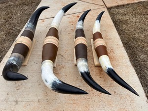 Juego de Cuernos de Toro Montados, Ecológicos, Hechos a Mano, Rústicos, Modernos, con Diseño Animal, Cuernos Pulidos, Decoración del Hogar Estilo Western, Pascua - Product Image 4