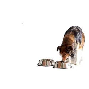 Stainless Steel Bowl for Dogs, Cats & Any Pets, Non-Skid Rubber Bottom Food Water Bowl I Non-Toxic & 100% Safe for Pets