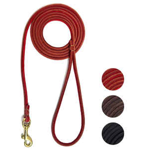 Laisse pour chien en cuir à prix abordable, best-seller, bonne qualité, accessoires tendance pour animaux de compagnie, laisse pour chien en cuir - Product Image 1
