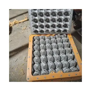 paper egg tray plate mould paper tray mold