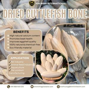 Hueso de Sepia Seco de Alta Calidad - Calcio Natural para Aves, Mascotas y Alimento Animal - Product Image 5