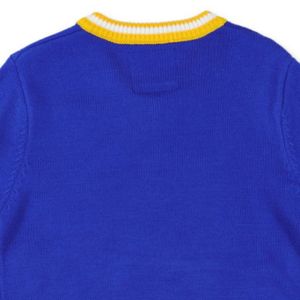 Pull en tricot Sigma Gamma Rho SGRho, bleu et or, style universitaire 1922, vêtements grecs pour femmes - Product Image 2