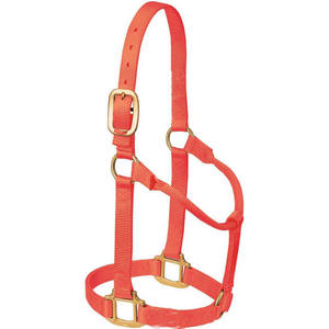 Premium Nylon Horse <b>Halter</b> with Solid Brass Buckles Adjustable Heavy-Duty Equestrian Headstall - Product Image 1