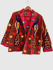 Veste en velours brodée à la main avec motif floral paon, manches longues, col châle, grande taille, vêtements d'hiver pour femmes - Product Image 2