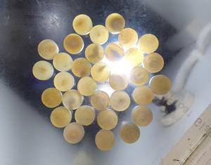 Botón de Cuerno de Búfalo Ecológico con Cuentas, Color Negro Natural, para Prendas de Vestir, Precio Económico, de Fabricante Indio - Product Image 1