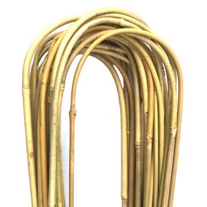 Natural Tonkin Bamboo <b>Stakes</b> Raw Material Agricultural Bamboo Poles and Garden Canes <b>for</b> Climbing Plants - Product Image 5